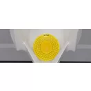 G-PLUS Citrus Mango enzimköves piszoár rács, 194mm, EVA műanyag, citrus és mangó