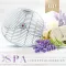 G-Screen Spa fröccsenésgátló piszoár rács, 178mm, EVA műanyag, levendula és geránium
