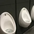G-Screen Spa fröccsenésgátló piszoár rács, 178mm, EVA műanyag, levendula és geránium