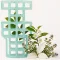G-Vent White Tea & Thyme illatkehely ventilátoros légfrissítőhöz, 30 napos, fehér tea és kakukkfű